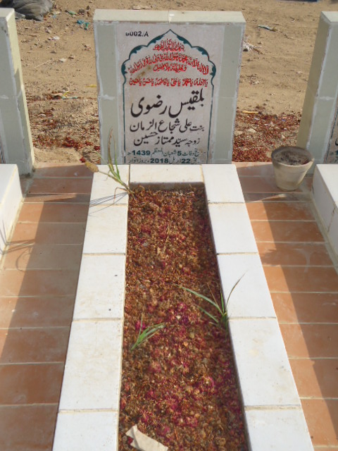 16002 – Bilques Rizvi