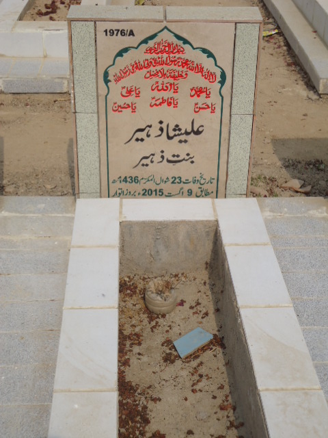 11976 – Alisha Zaheer