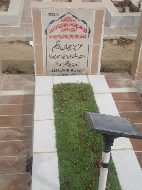 13828 – ANEES ZEHRA