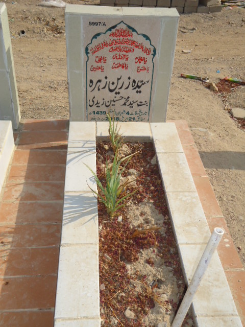 15997 – Syeda Zareen Zehra