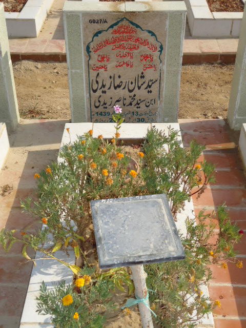16027 – Syed Shan Raza Zaidi