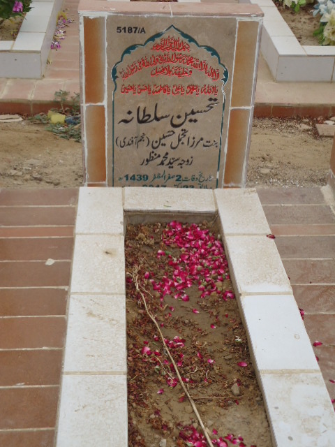 15187 – Tehseen Sultana