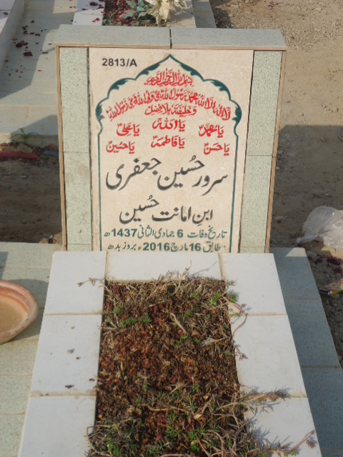 12813 – Sarwar Hussain Jaffery