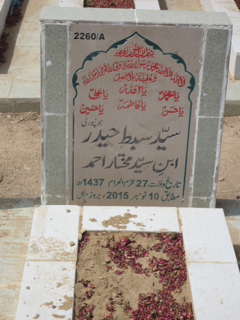 12260 – Syed Sibte Haider