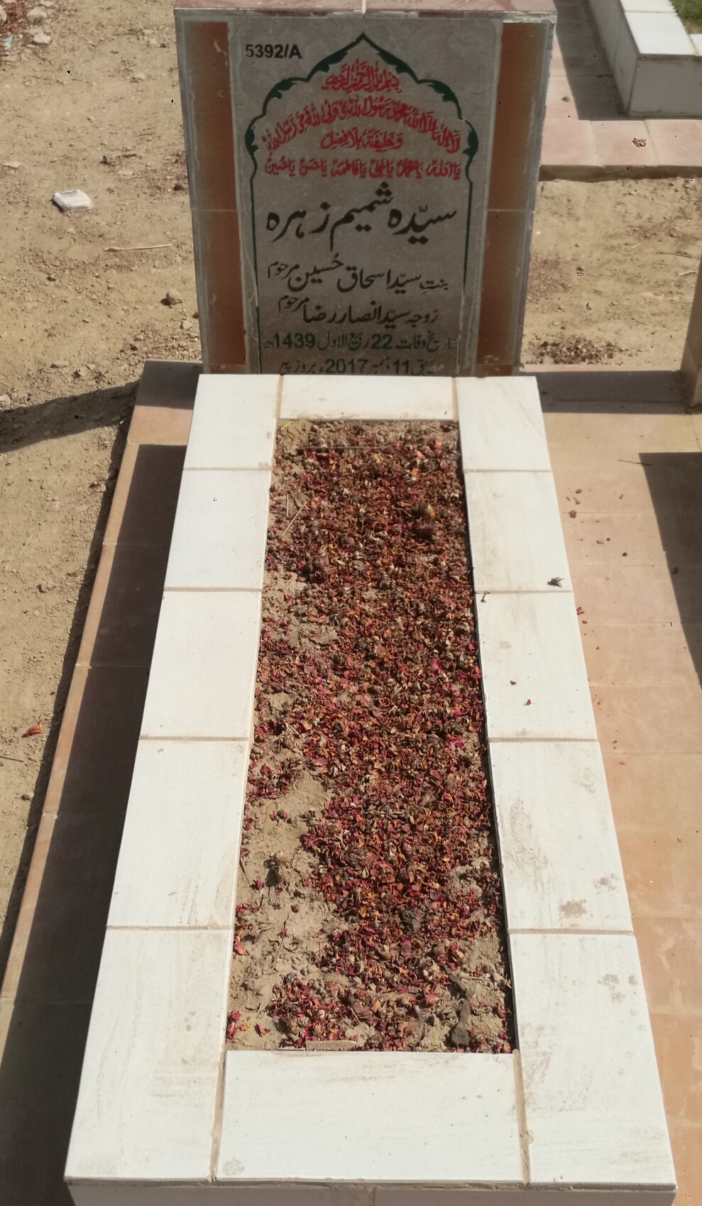 15392 – Syeda Shamim Zehra