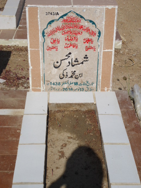 13743 – Shamshad Mohsin