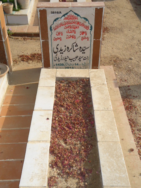 15816 – Syeda Shakira Zaidi
