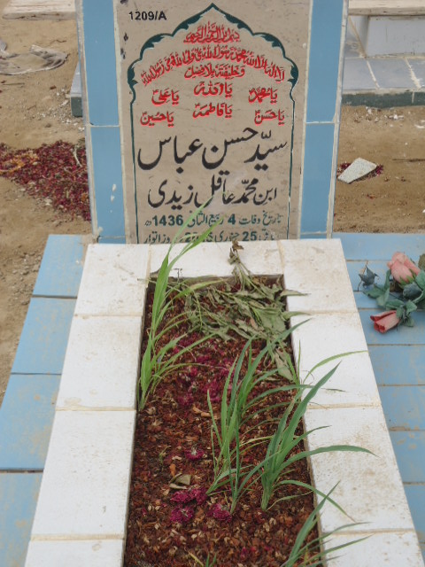 11209 – Syed Hasan Abbas