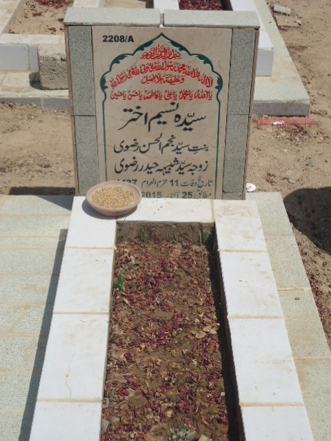 12208 – Syeda Naseem Akhtar