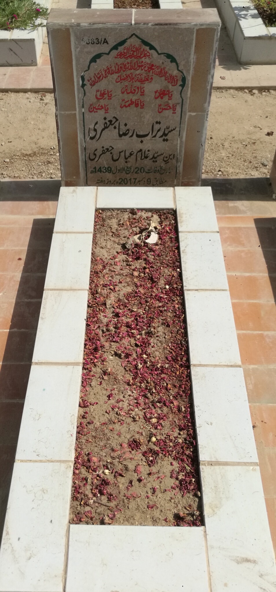 15383 – Syed Turab Raza Jaffery