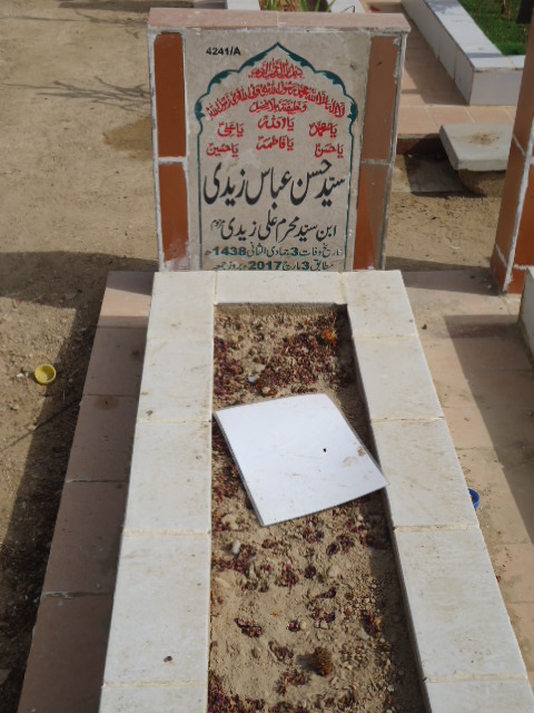14241 – Syed Hassan Abbas Zaidi