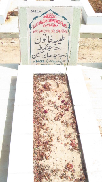 16452 – Tayyeba Khatoon