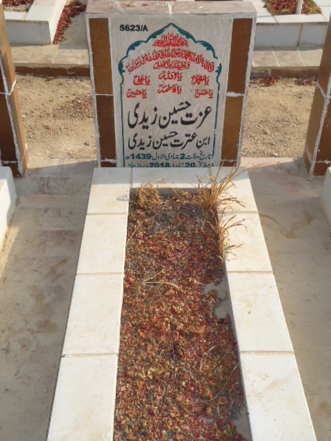 15623 – Izzat Hussain Zaidi