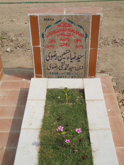 14587 – Syed Zia Hussain Rizvi