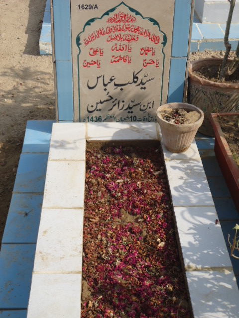 11629 – Syed Kalbay Abbas