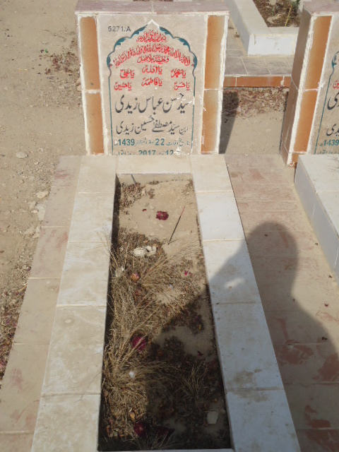 15271 – Syed Hassan Abbas Zaidi