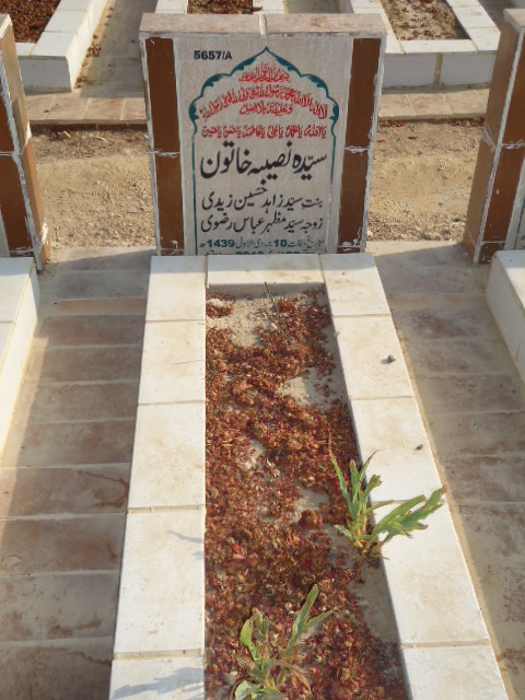 15657 – Syeda Naseeba Khatoon