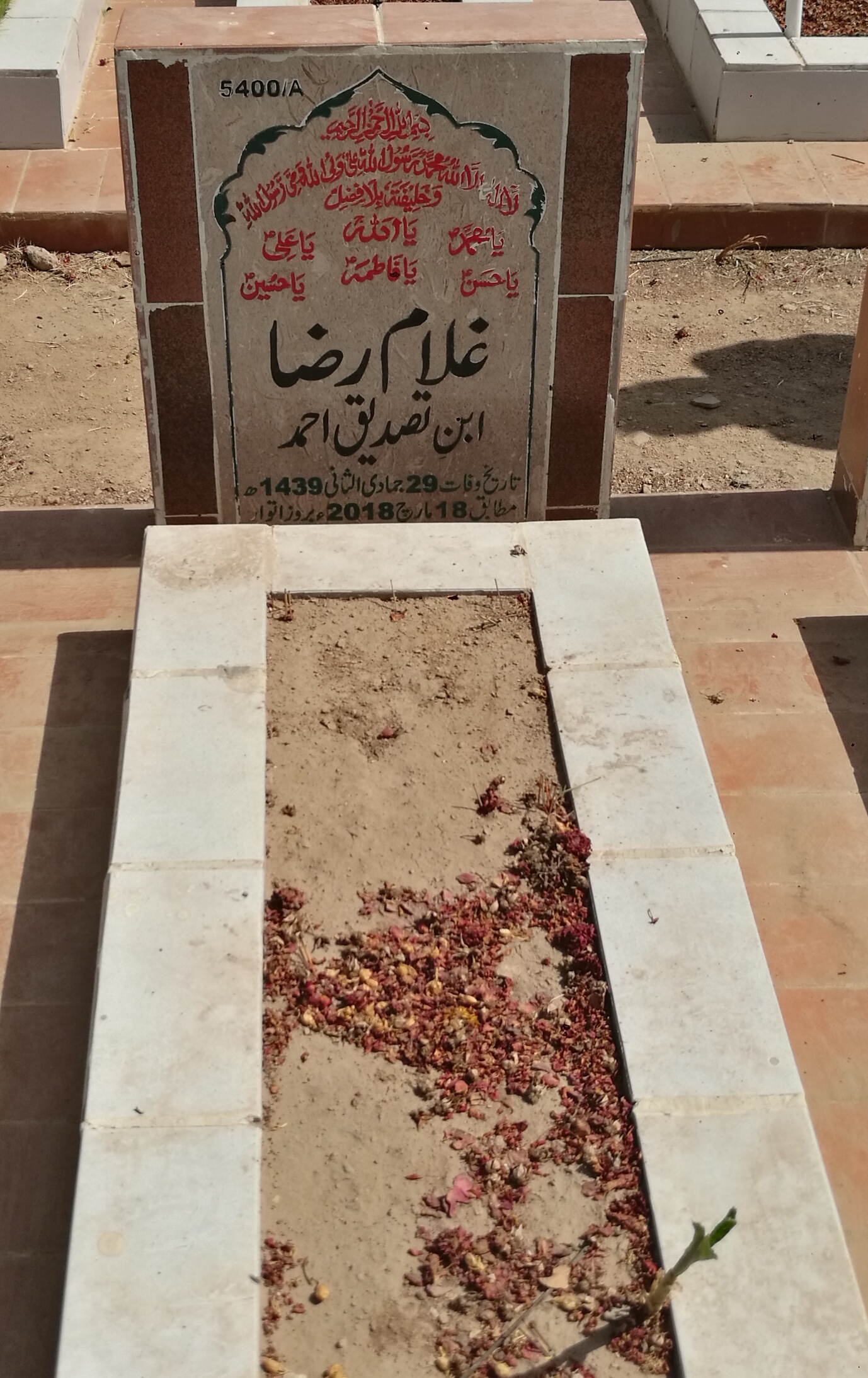 15400 – Ghulam Raza