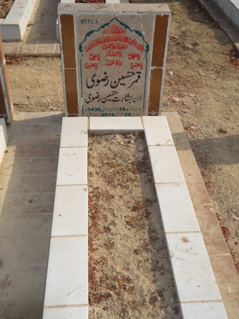 15659 – Qamar Hussain Rizvi