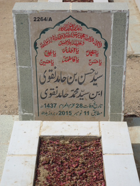 12264 – Syed Hasan Bin Hamid Naqvi