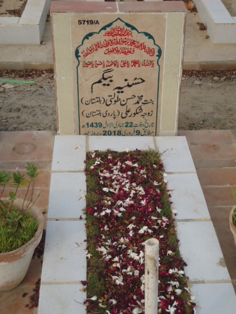 15719 – Hussnia Begum