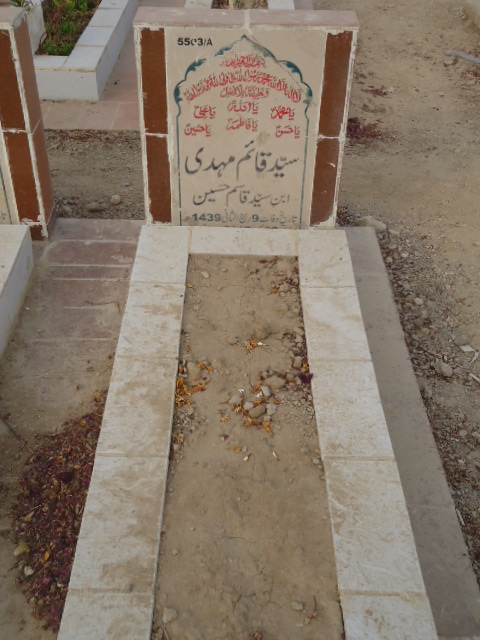 15503 – Syed Qaim Mehdi Abidi