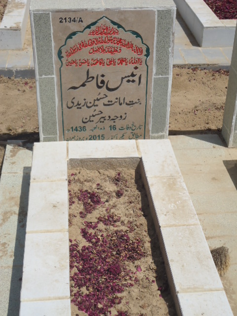 12134 – Anees Fatima