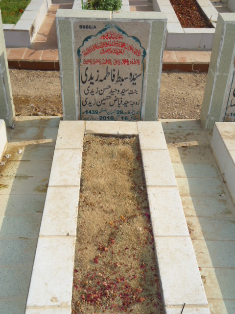 16086 – Syeda Sibte Zehra Fatima Zaidi