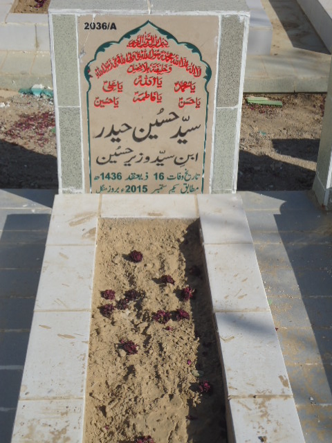 12036 – Syed Hussain Haider