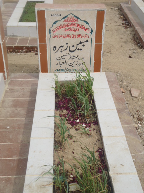 14058 – Mobeen Zehra