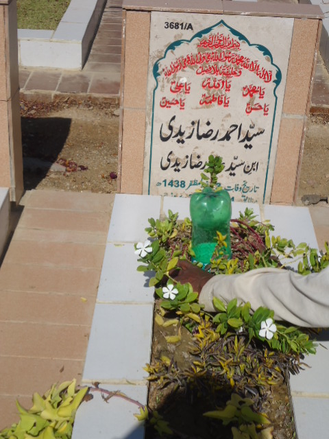 13681 – Syed Ahmed Raza Zaidi