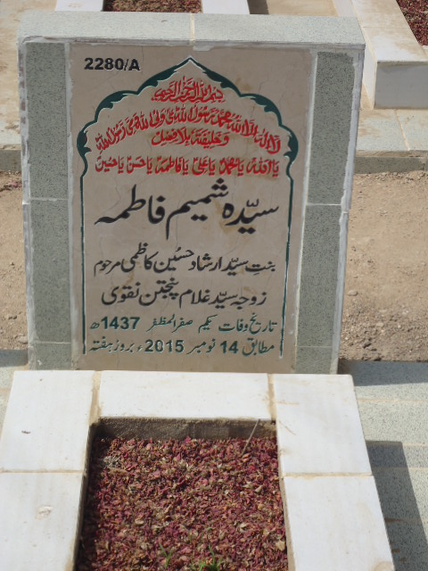 12280 – Syeda Shamim Fatima