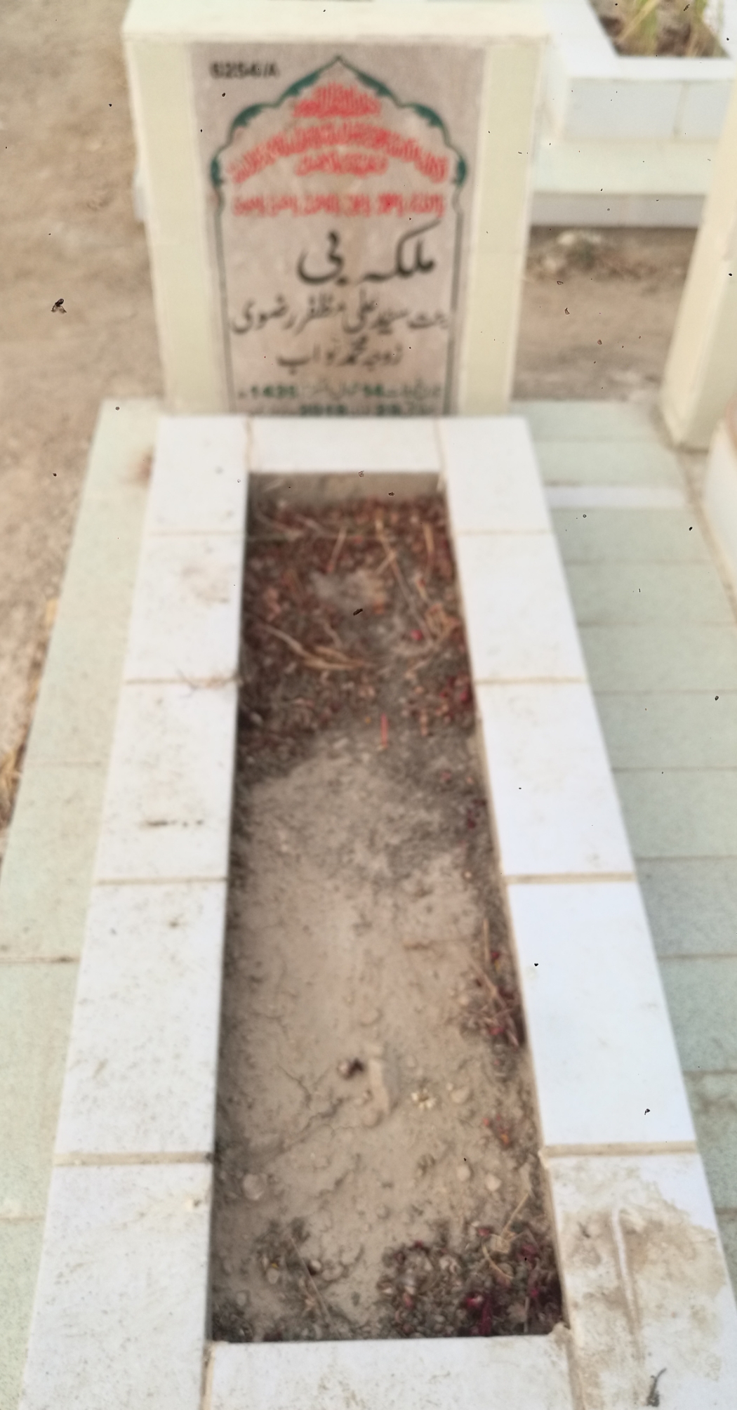 16254 – Mailka Bibi