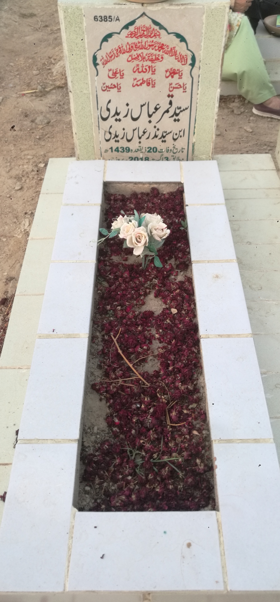 16385 – Syed Qamar Abbas Zaidi