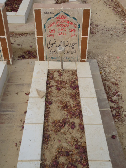 15553 – Syed Raza Ahmed Rizvi