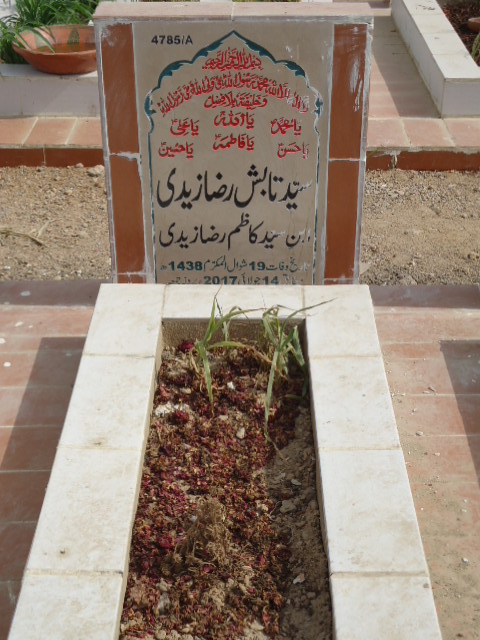 14785 – Syed Tabish Raza Zaidi