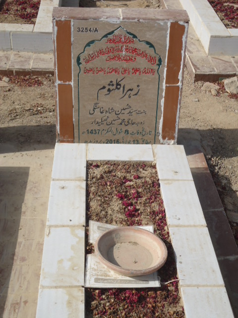 13254 – Zehra Kulsoom