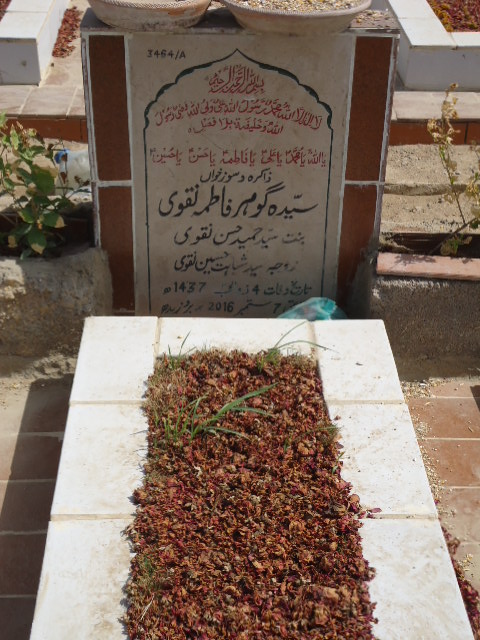 13464 – Syeda Gohar Fatima Naqvi