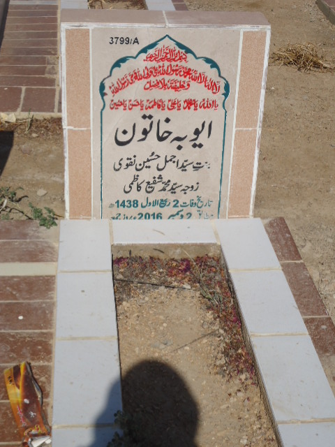 13799 – Ayouba Khatoon