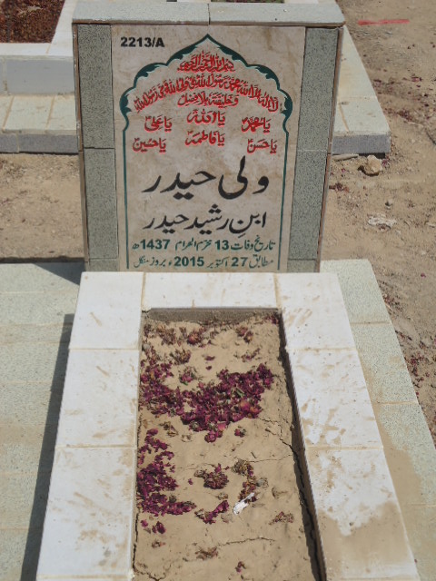 12213 – Wali Haider