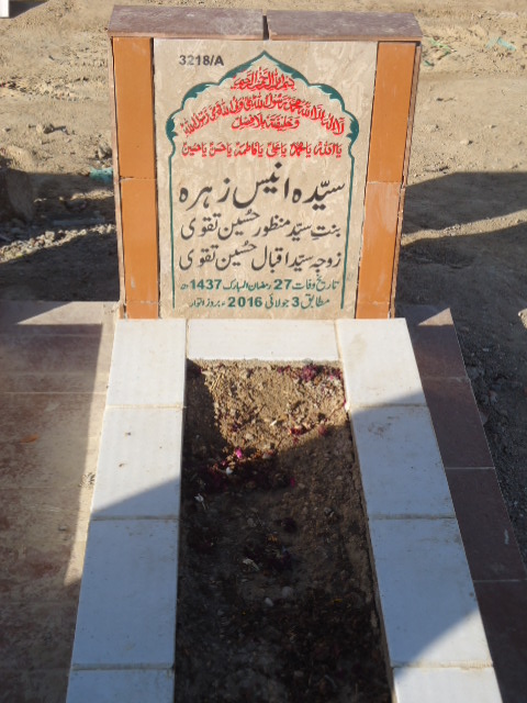 13218 – Syeda Anees Zehra