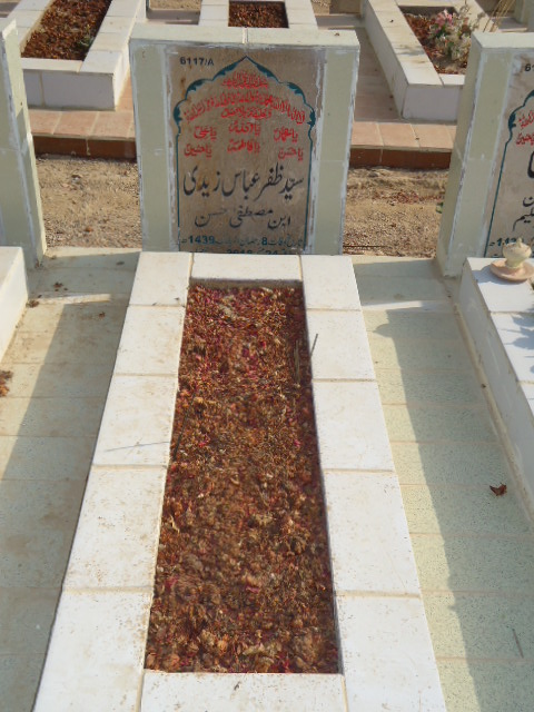 16117 – Syed Zafar Abbas Zaidi