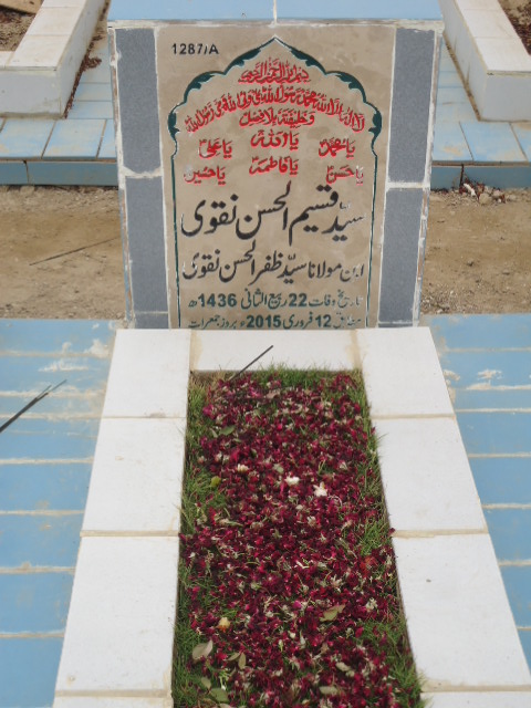 11287 – Syed Qaseem Ul Hasan Naqvi
