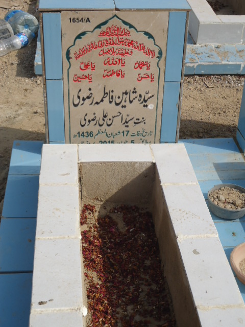 11654 – Syeda Shaheen Fatima Rizvi