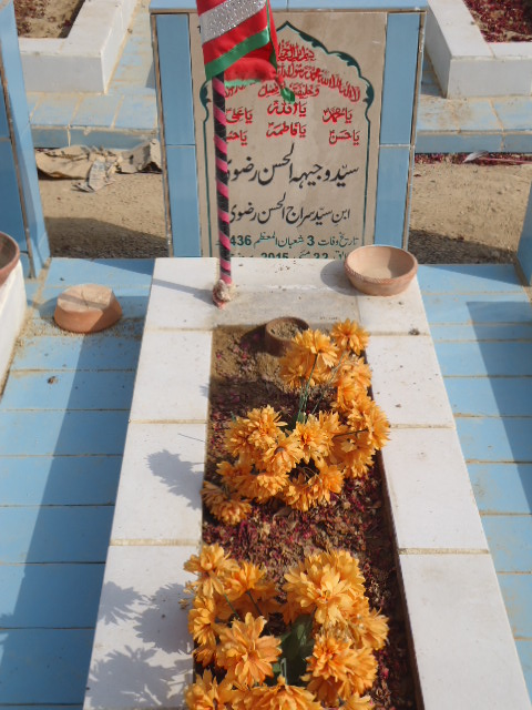 11607 – Syed Wajhi Ul Hasan Rizvi