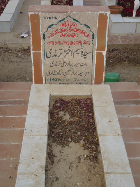 15767 – Syeda Naseem Akhtar Termizi