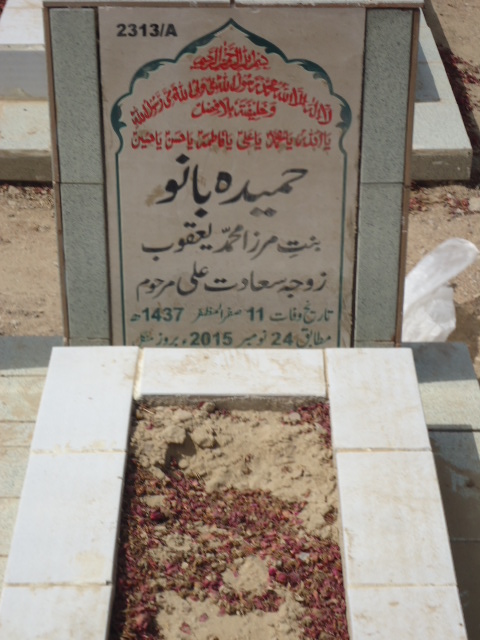 12313 – Hameeda Khatoon
