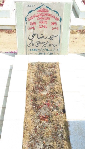 16571 – Syed Raza Ali