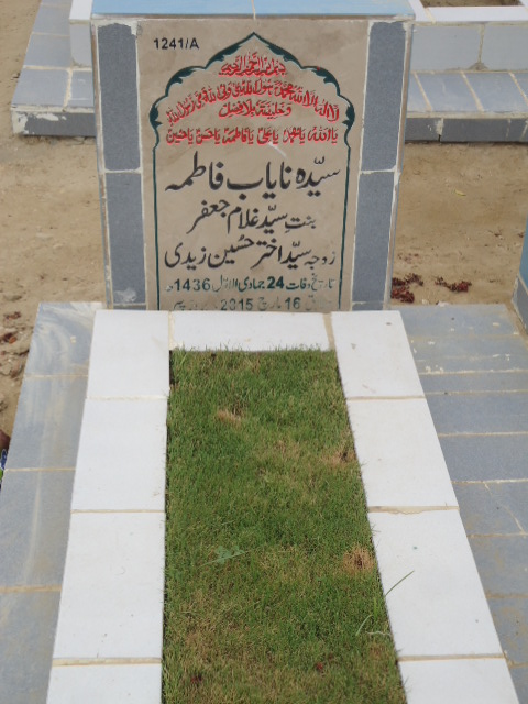 11241 – Syeda Nayab Fatima