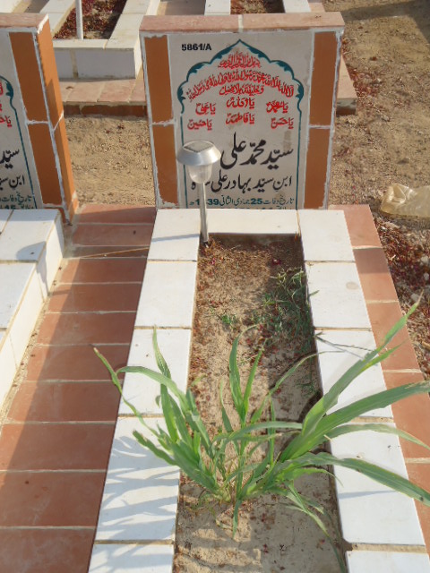 15861 – Syed Muhammad Ali Shah